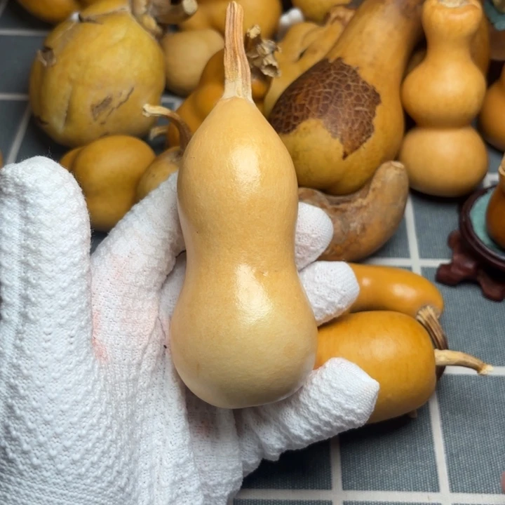 守***人葫芦坑666666666666