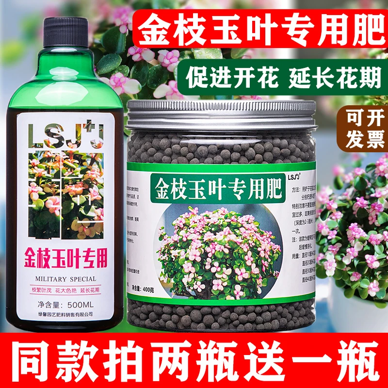 金枝玉叶专用肥马齿笕树室内盆栽肥料营养液有机颗粒缓释肥叶面肥