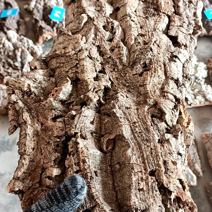 木一物一拍一物一发