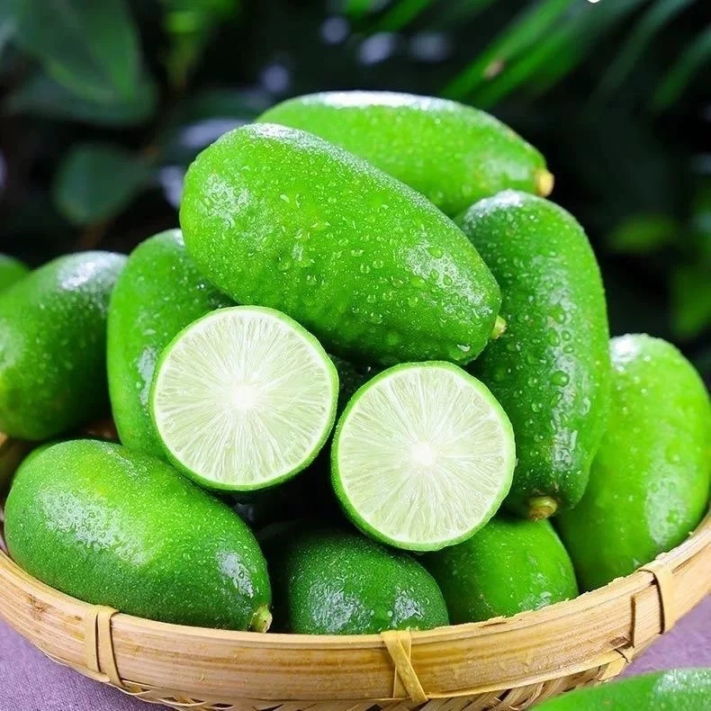 无籽香水柠檬青柠新鲜子弹头水果现摘现发奶茶专用坏果包赔