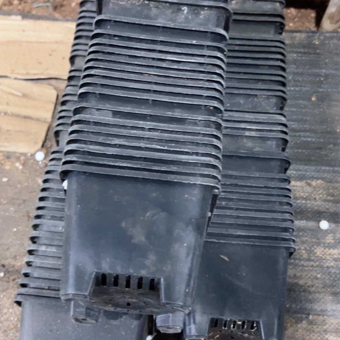 黑方120盆11.5口径8高 30个