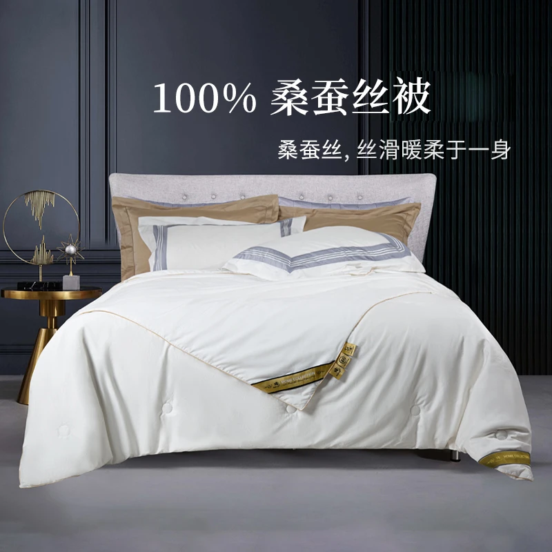 100%桑蚕丝漫云抗菌桑蚕丝二合一被