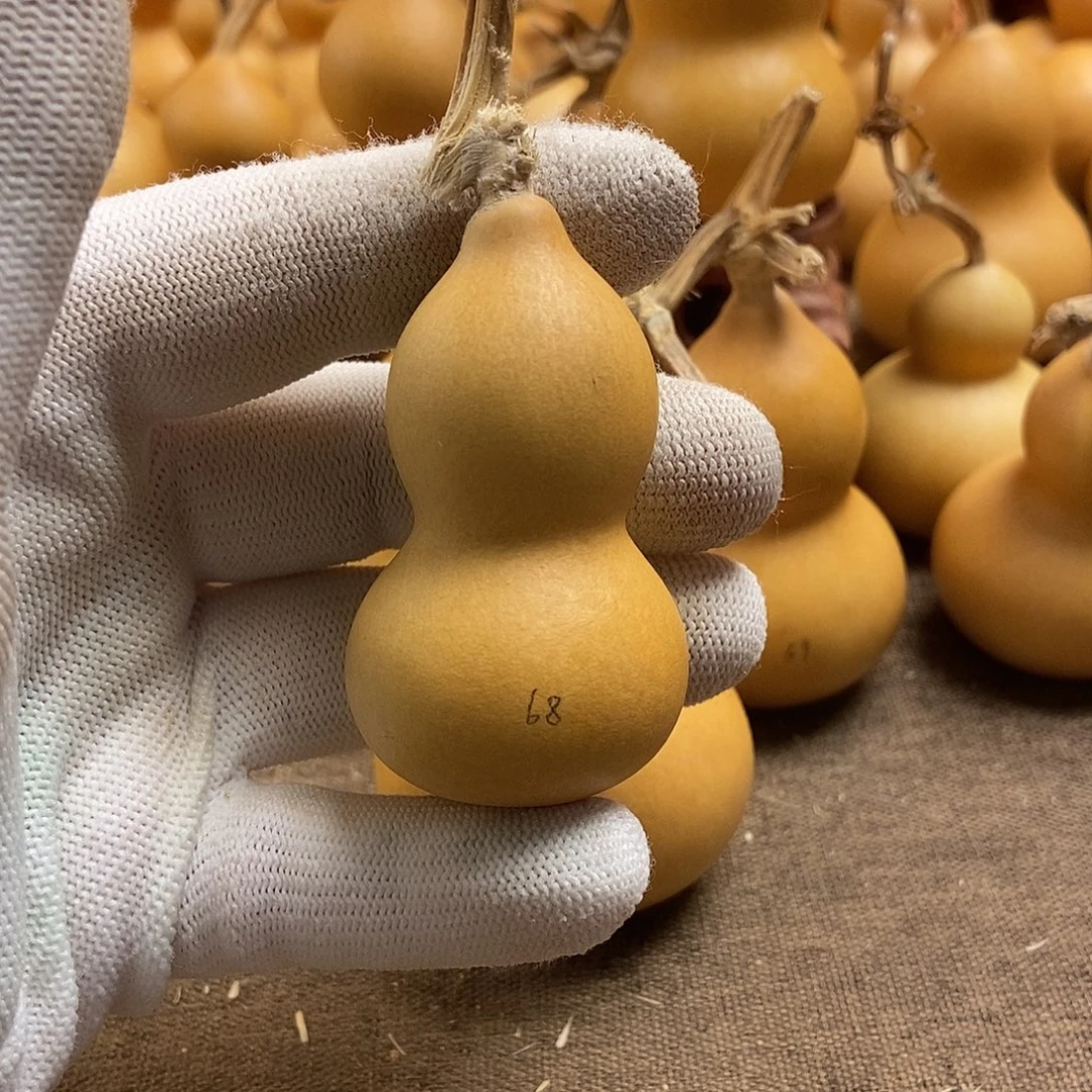 文玩葫芦 完美主义者 慎拍68