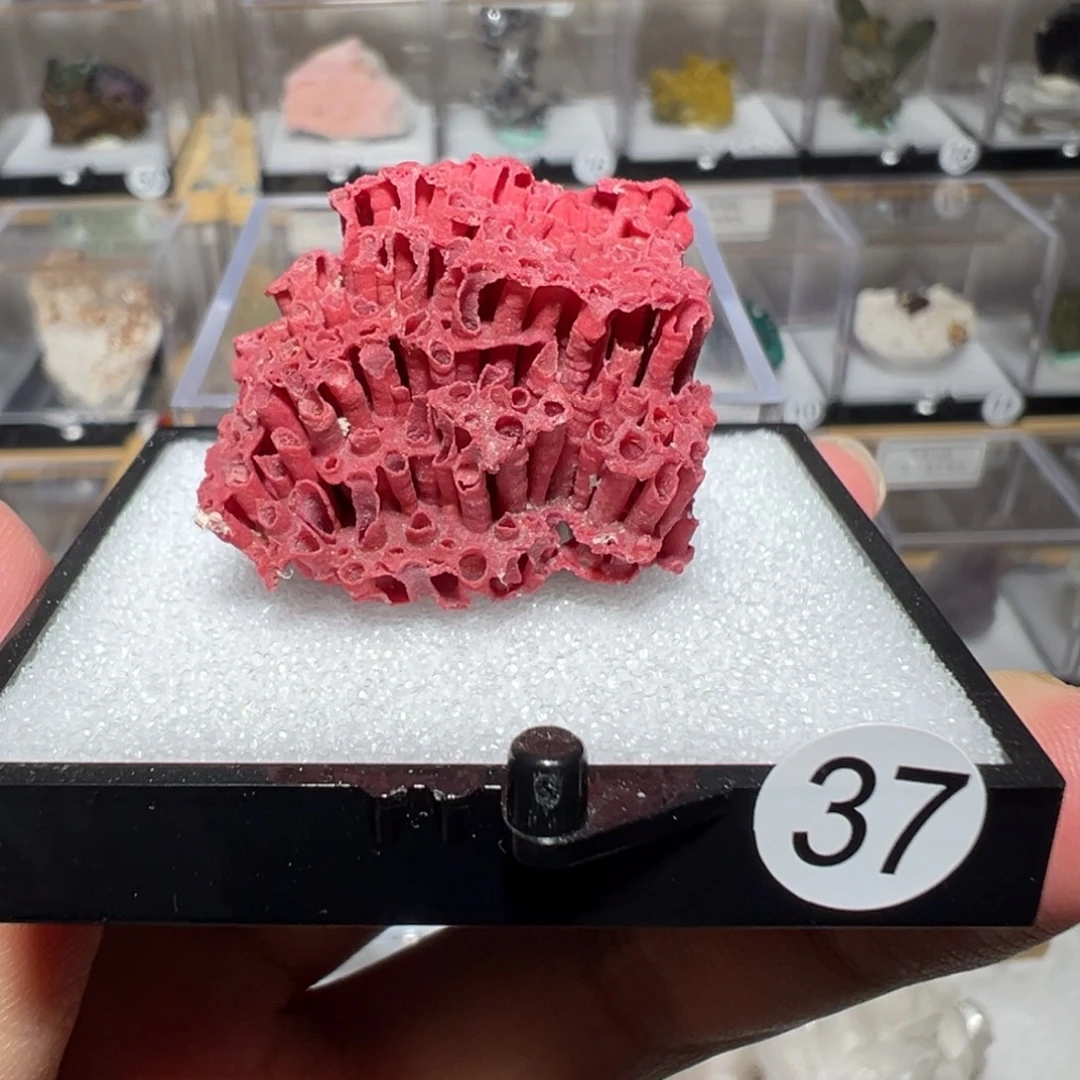 大型摆件（非配饰）银S925镶嵌紫晶