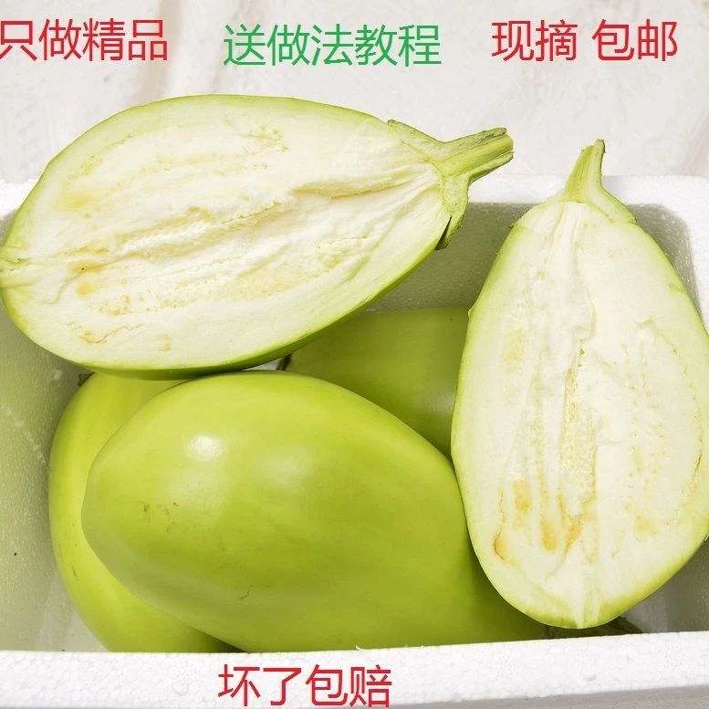 包邮新鲜现摘东北绿茄子大棚绿皮茄子圆茄子精品绿色甜茄子三斤装