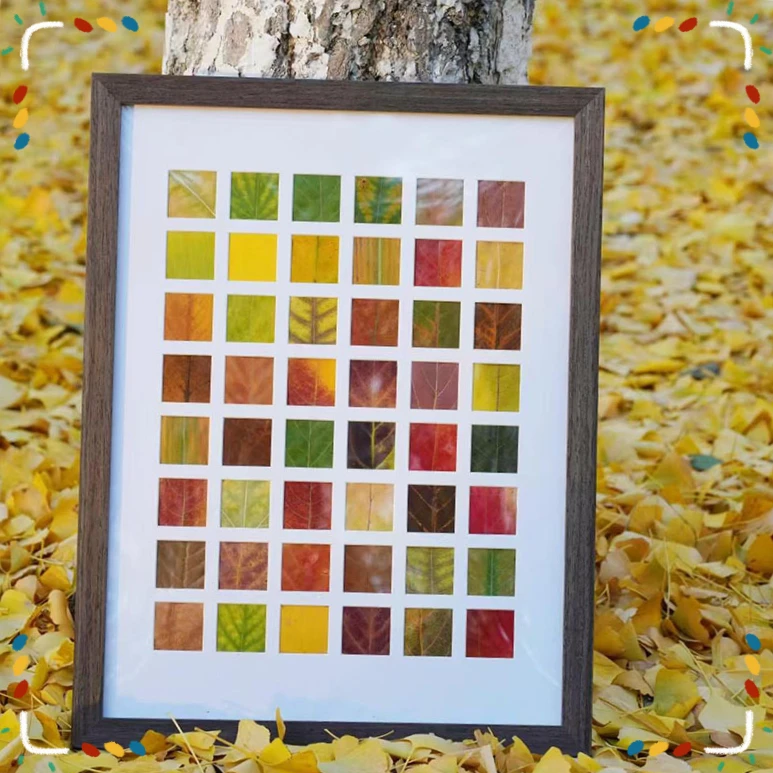 落叶48宫格落WHJJ叶挂画手工diy标本框材料包【富盛】