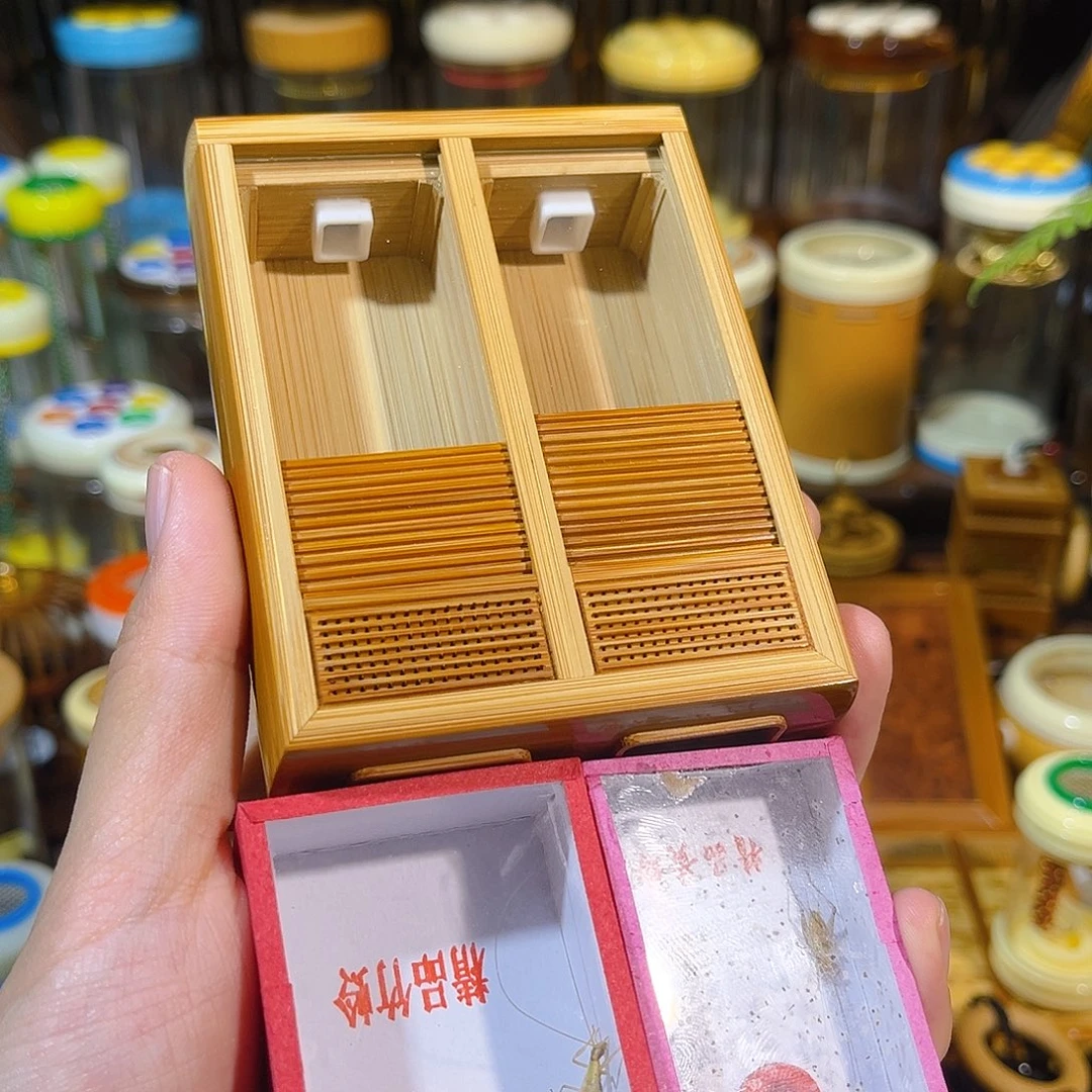 蟋蟀卷帘门竹蛉盒+竹蛉+大黄