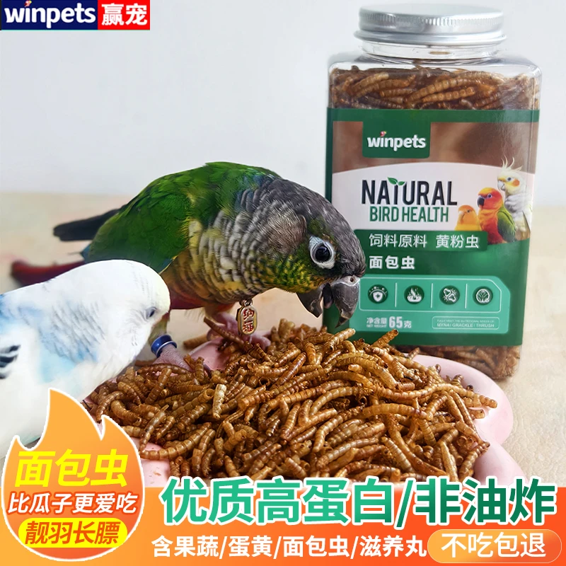鹦鹉小宠面包虫干鸟食零食奖励虎皮牡丹玄凤小太阳八哥的营养饲料