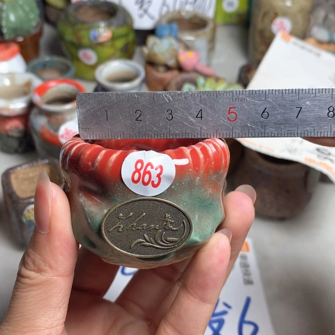拍5送一个小礼物