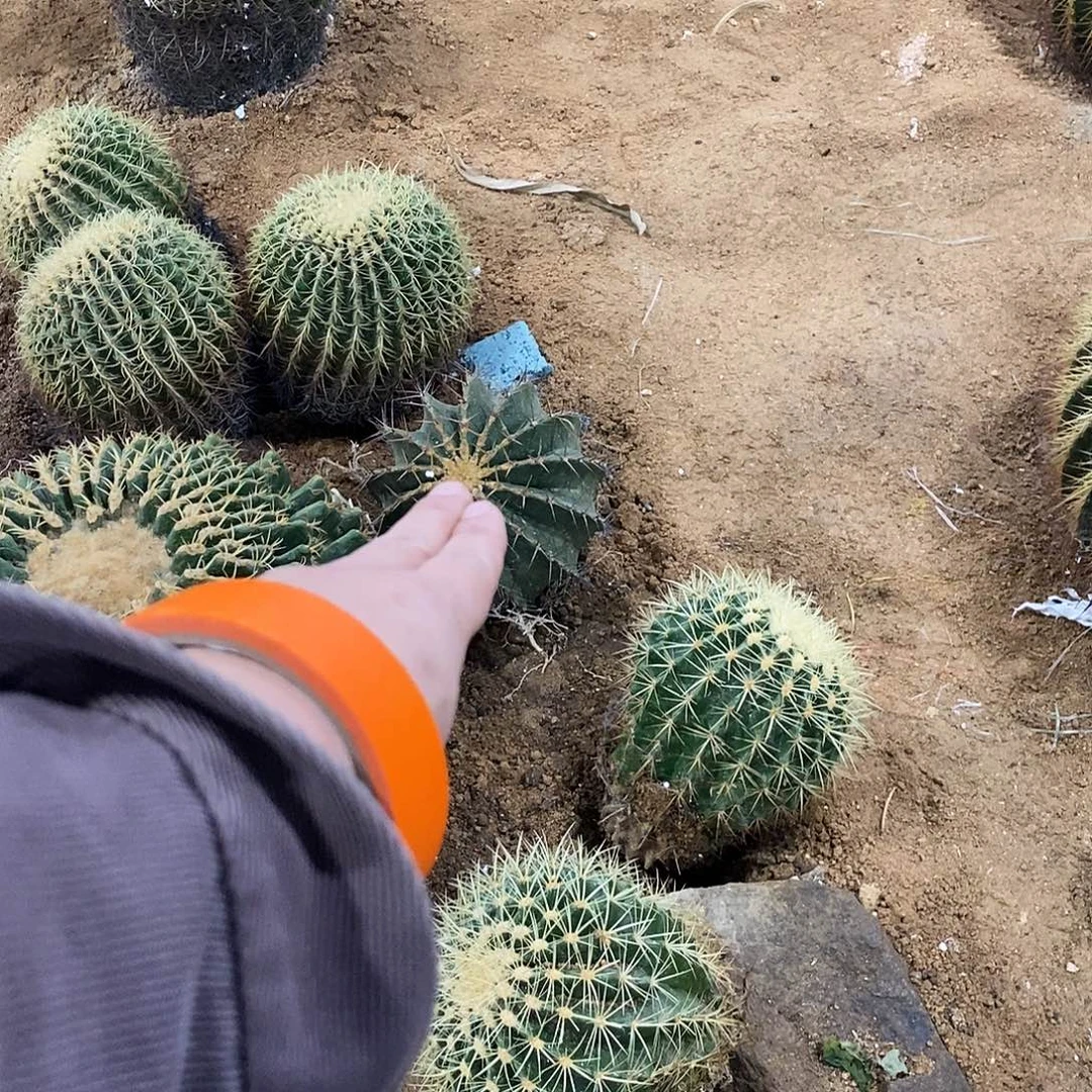 请***女黄彩玉一个。