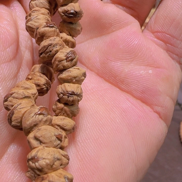 吊坠柏香籽/百香籽红牙大肠
