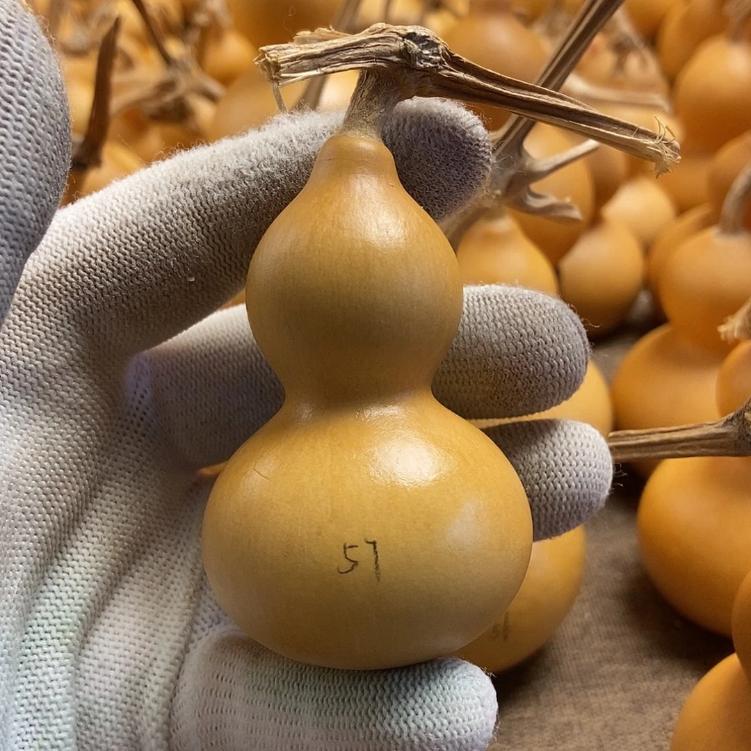 文玩葫芦 完美主义 慎拍57