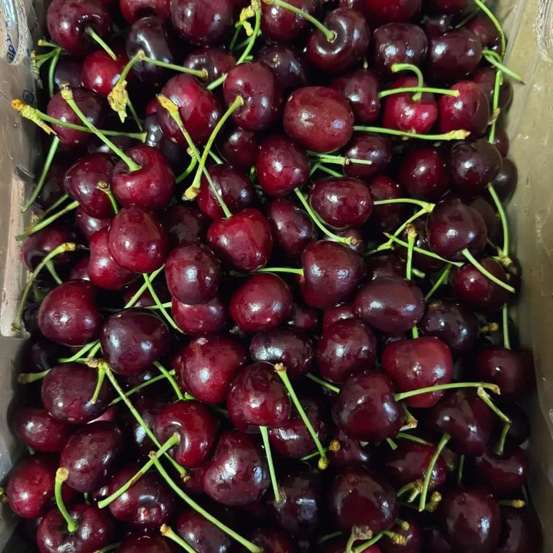 瑞吉纳3J车厘子500克（49元）斤瑞吉纳