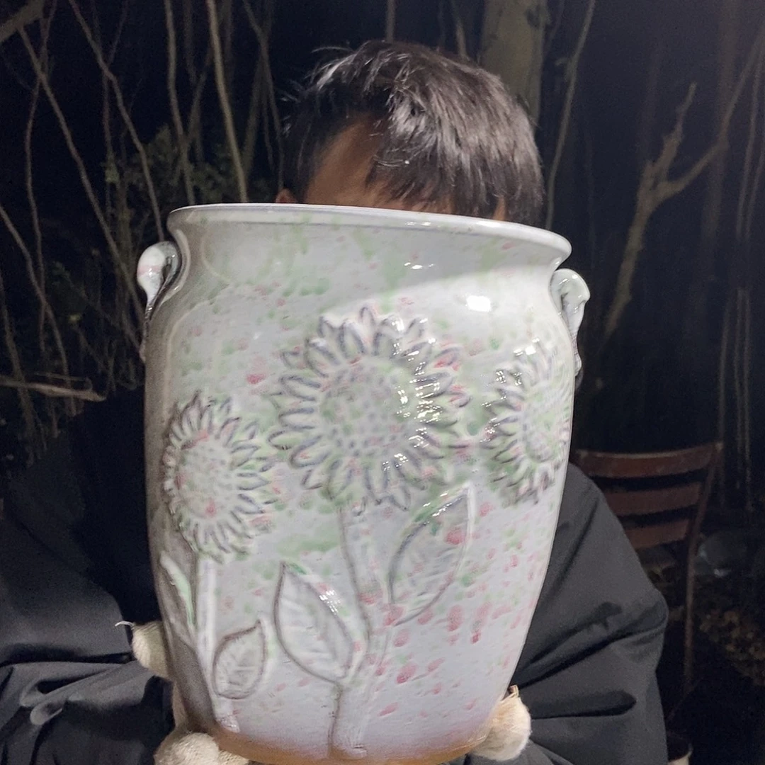 瑕疵20/25ghdhgfgh花盆