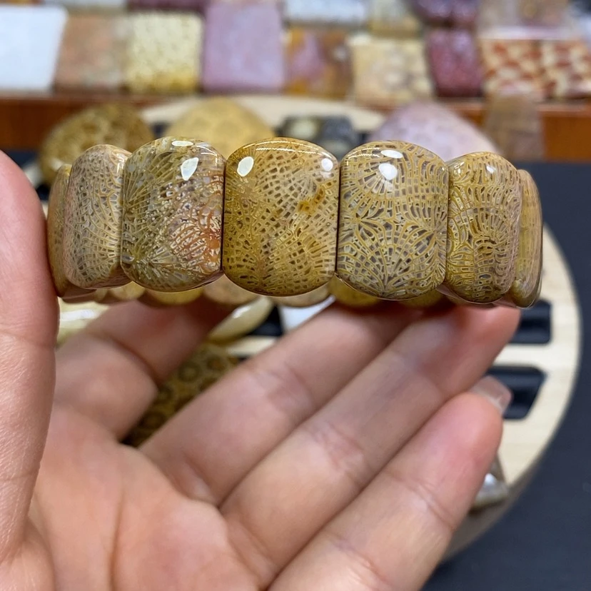 【闪购商品】硅化珊瑚（珊瑚玉）颈饰未镶嵌K3