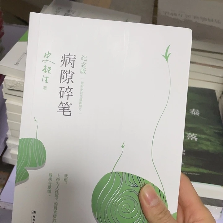 病隙碎笔 平装带塑封