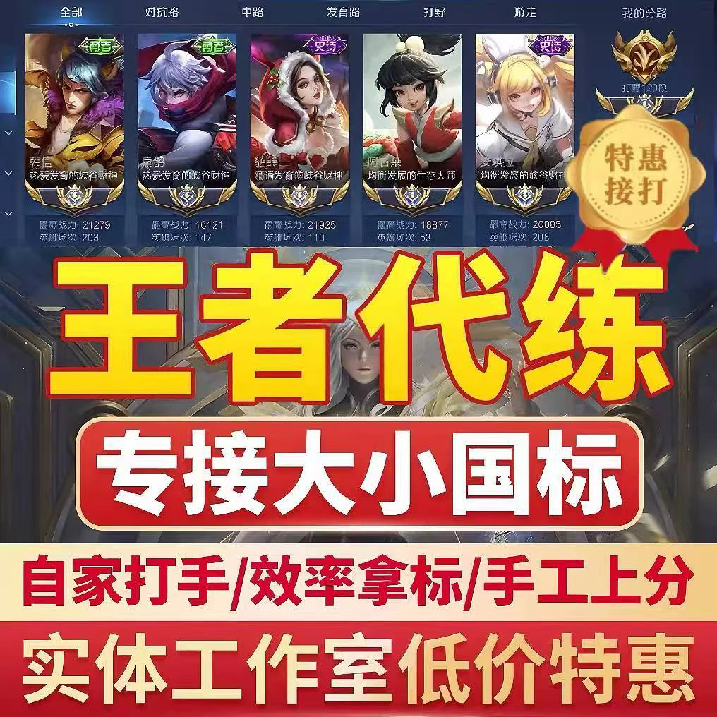 王者荣耀代打代练排位上分全程护航大小国标省标战力提升
