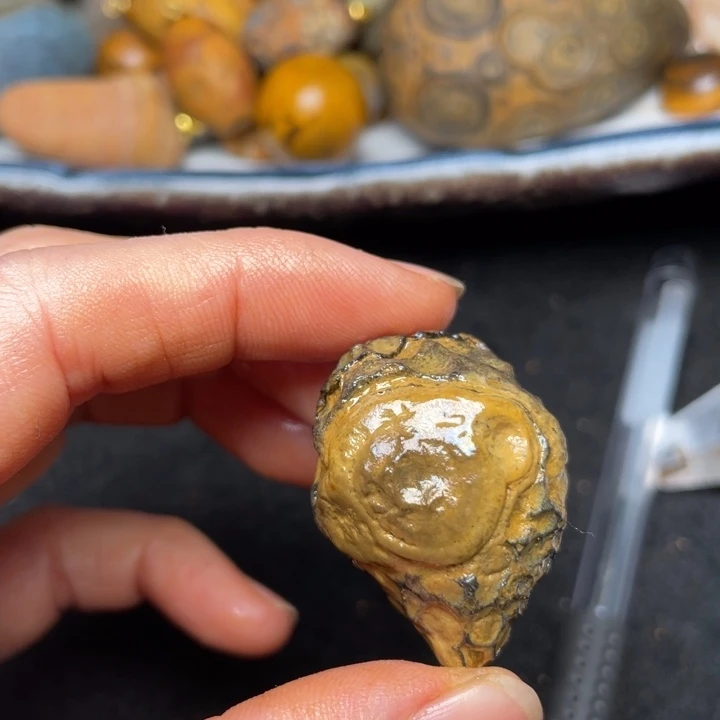 石材九眼页岩钱币石原石72