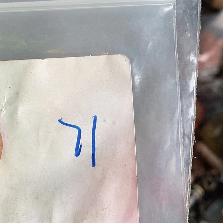 傻****吊坠龙脊菩提喜乐购专项链接