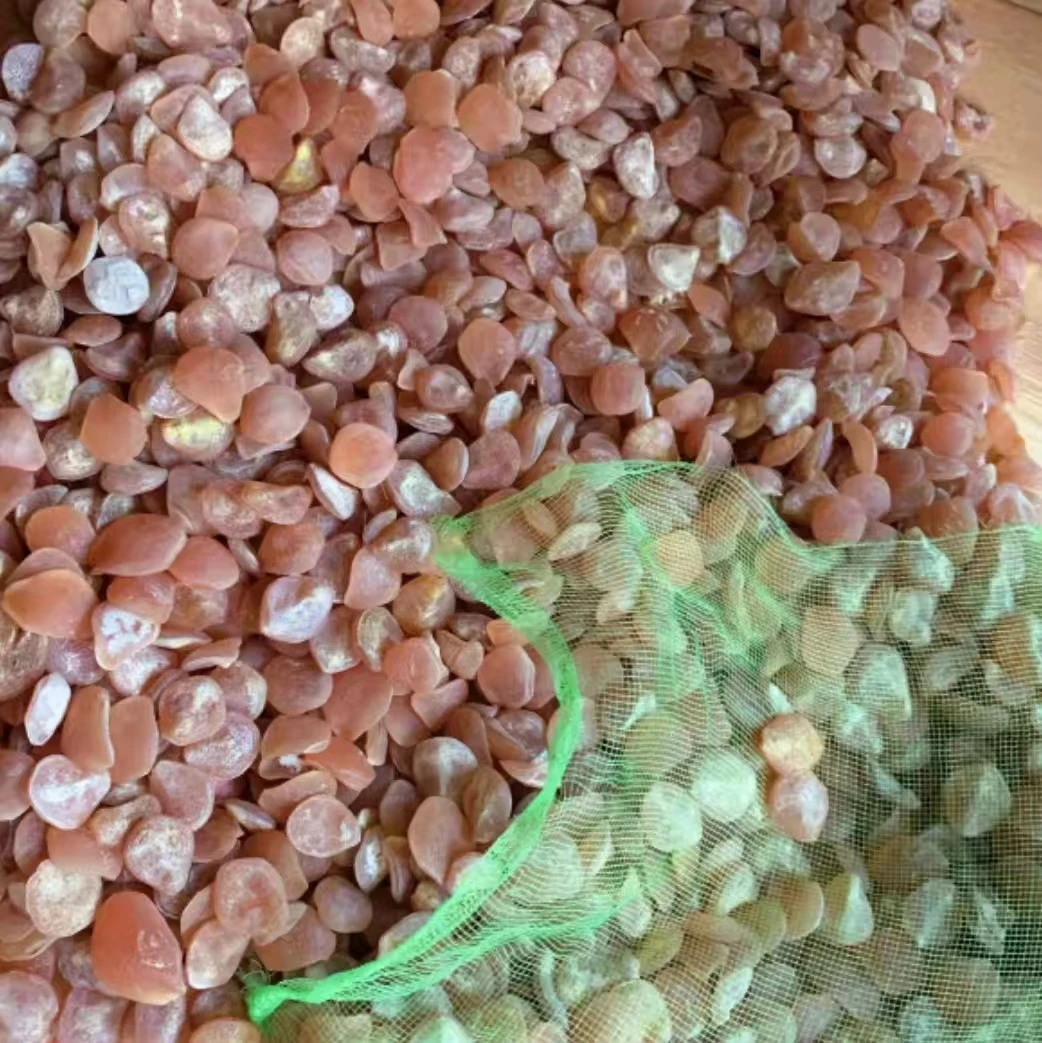 非金属布艺吊坠 大青鱼咽喉部的软骨青鱼石原石干料3-5
