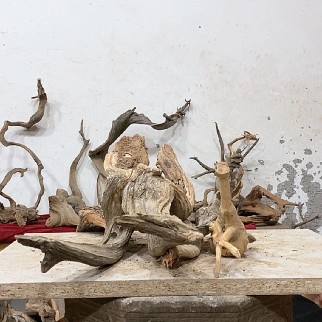 【闪购商品】柏木新*我们都是好孩子