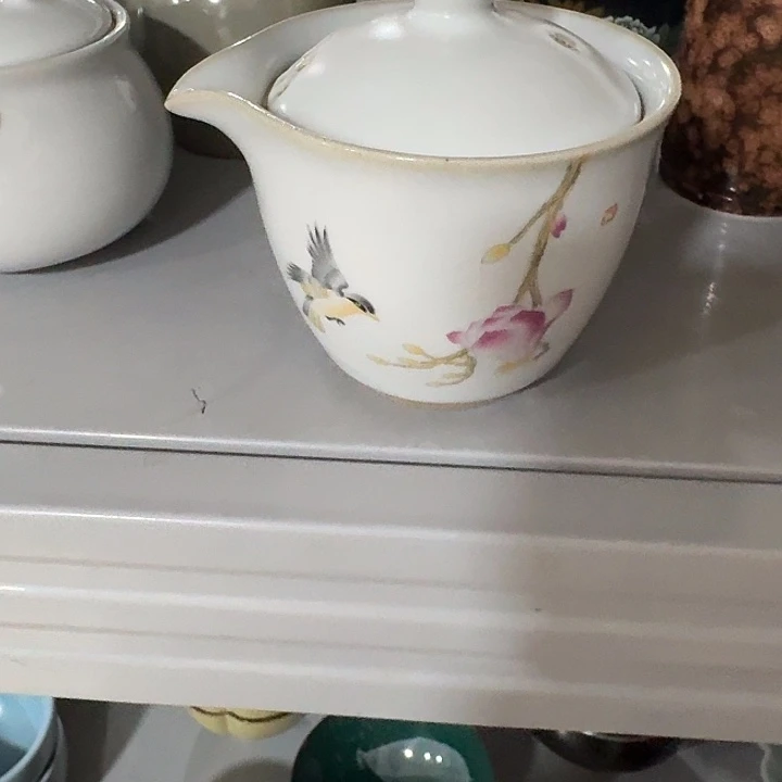 主人杯一个，瓷。。。