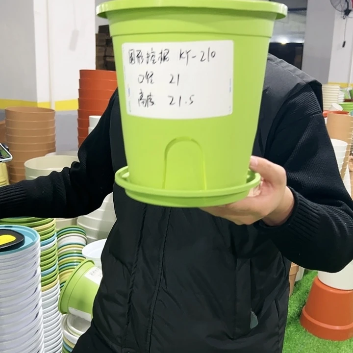 正品圆控口21高21白色8只带托