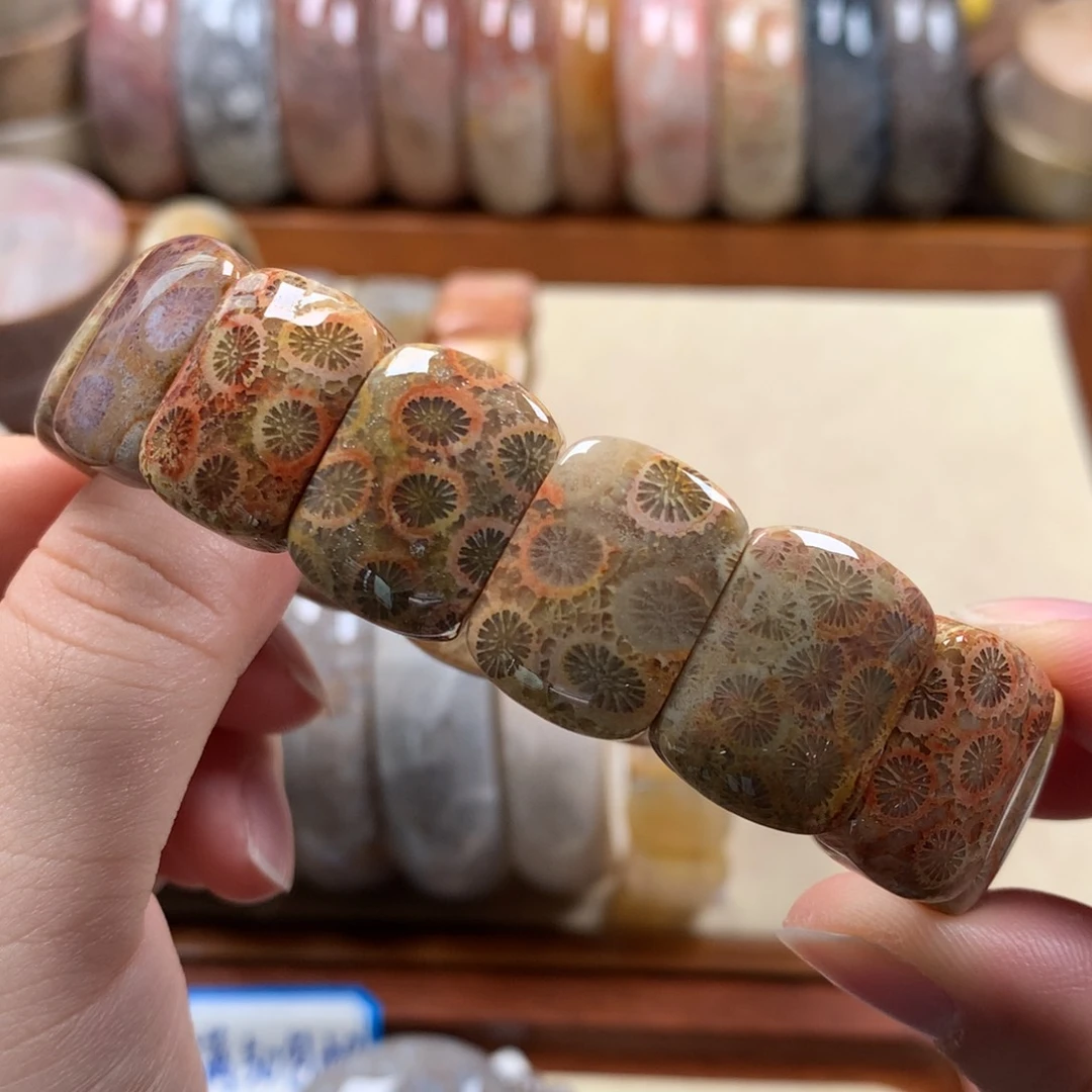 未镶嵌手排漏150/个。12硅化珊瑚（珊瑚玉）