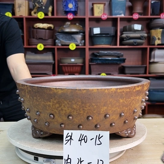 用****3紫砂花盆里都能听到