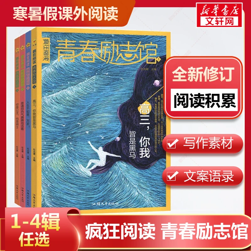 2024版疯狂阅读青春励志馆梦想成真手册1-4高三你我皆是黑马天星