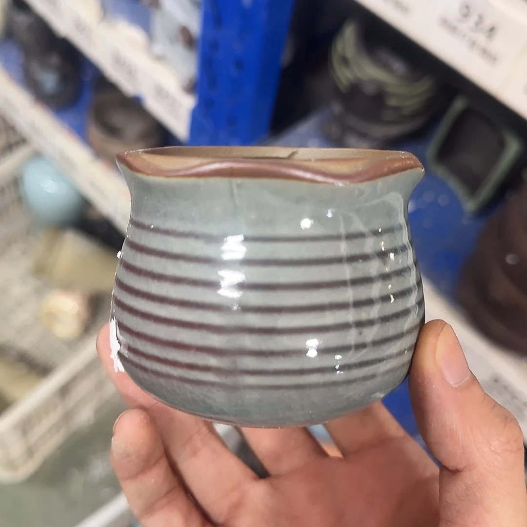 福利局绿植多肉盆［凑9元包邮24小时发］930