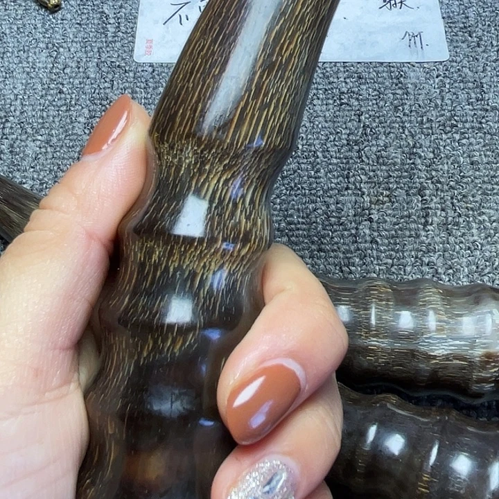 大果紫檀（缅甸花梨）