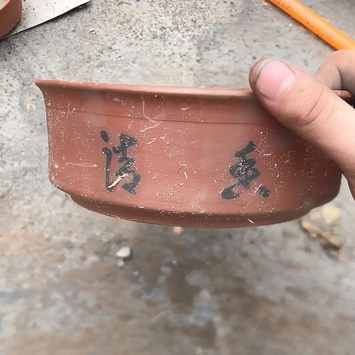 摆件陶瓷盘子碗啥都有