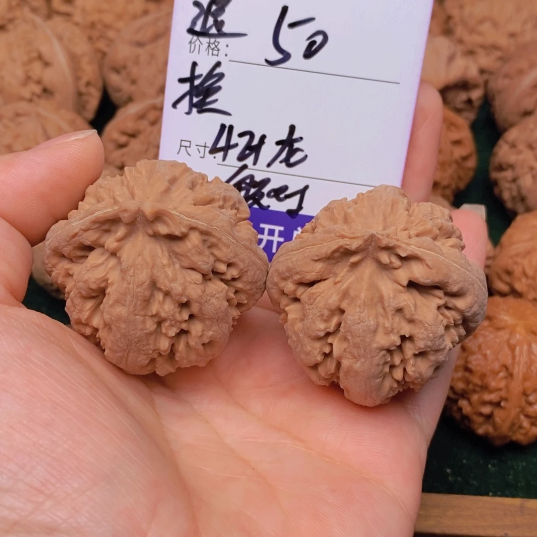 L***P文玩核桃霸王龙核桃