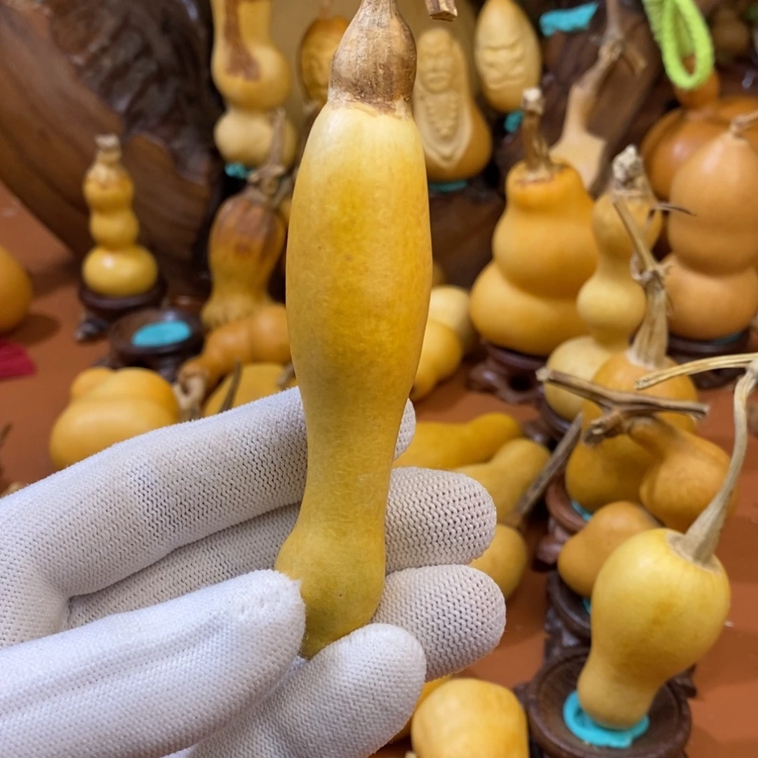 闪***手啊啊教练啦教练咯哦哦