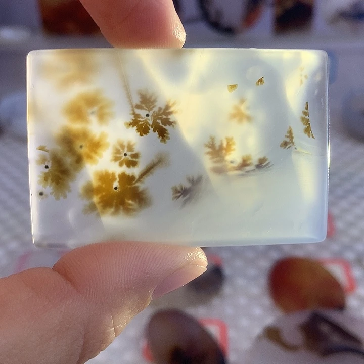 玛瑙/玉髓合金颈饰