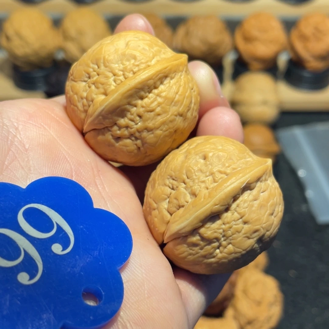 招财金龟子31。