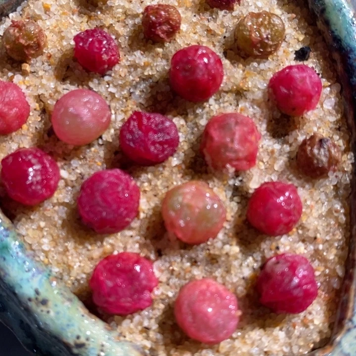 小颗吕氏毛汉尼3颗一组