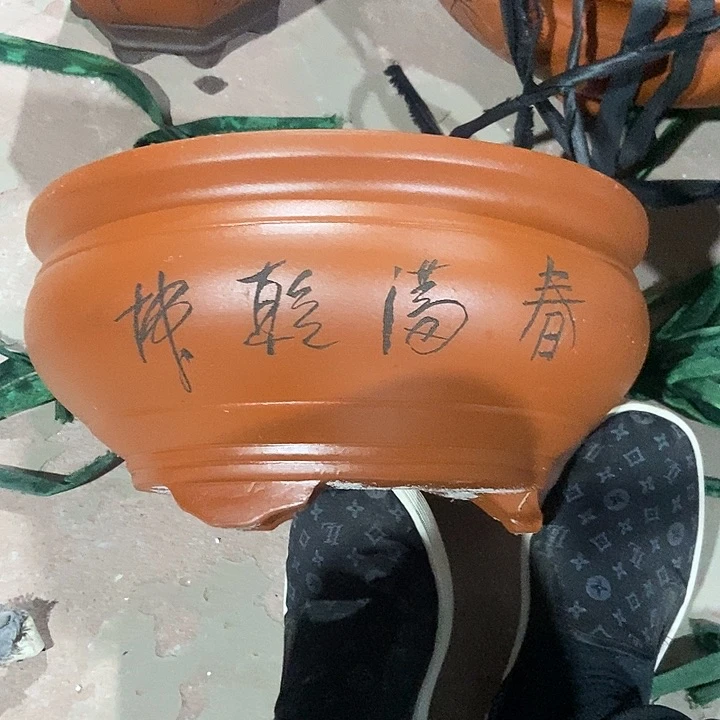 33花盆花盆花盆花盆花盆花盆花盆