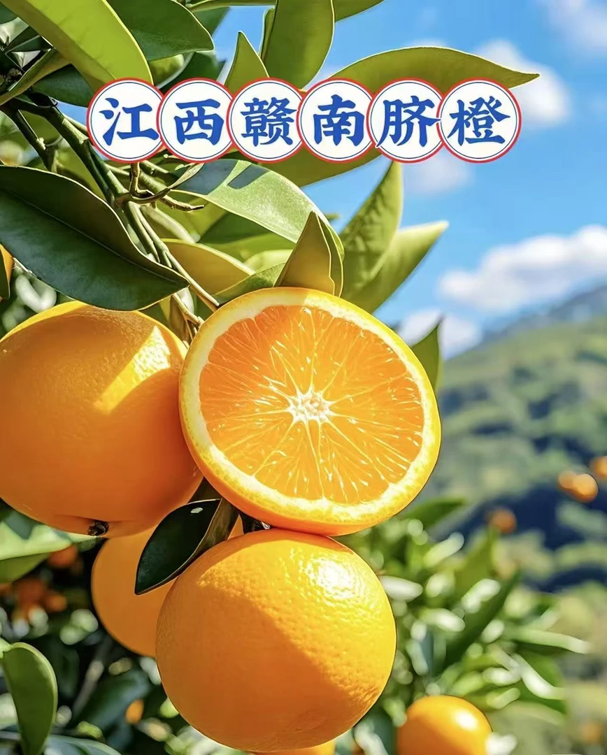 江西赣南脐橙10斤精品果