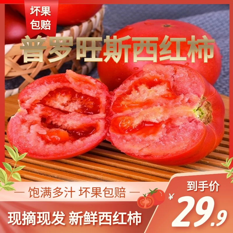 正宗海阳市普罗旺斯西红柿沙瓤带籽汁水饱满
