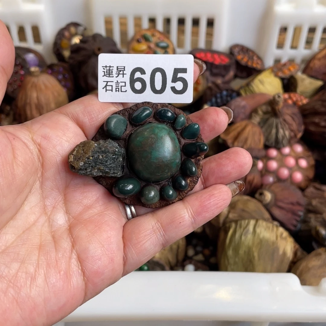 核桃木/黑胡桃（胡桃木）星*605