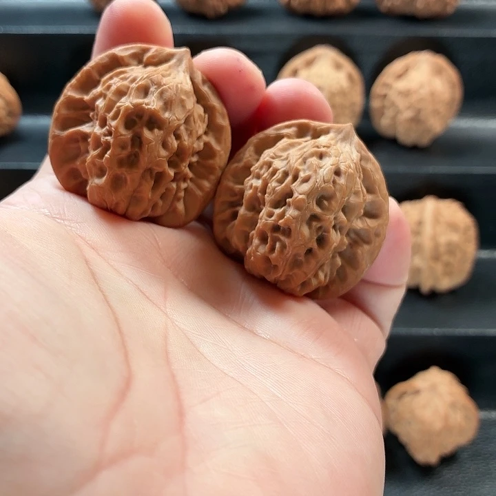 桃核把件蓟县山地白蛇谷红斑福利38