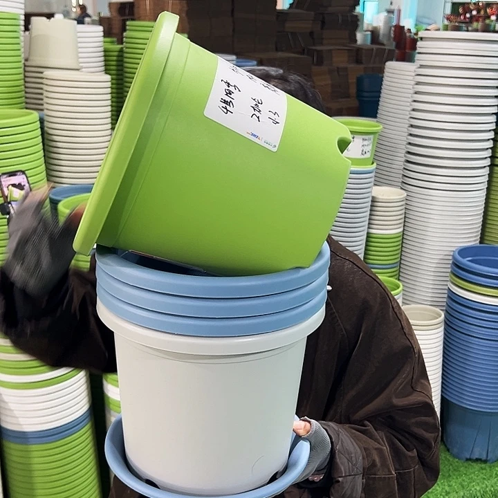 特价4号四季口25高21.5果绿带托5只