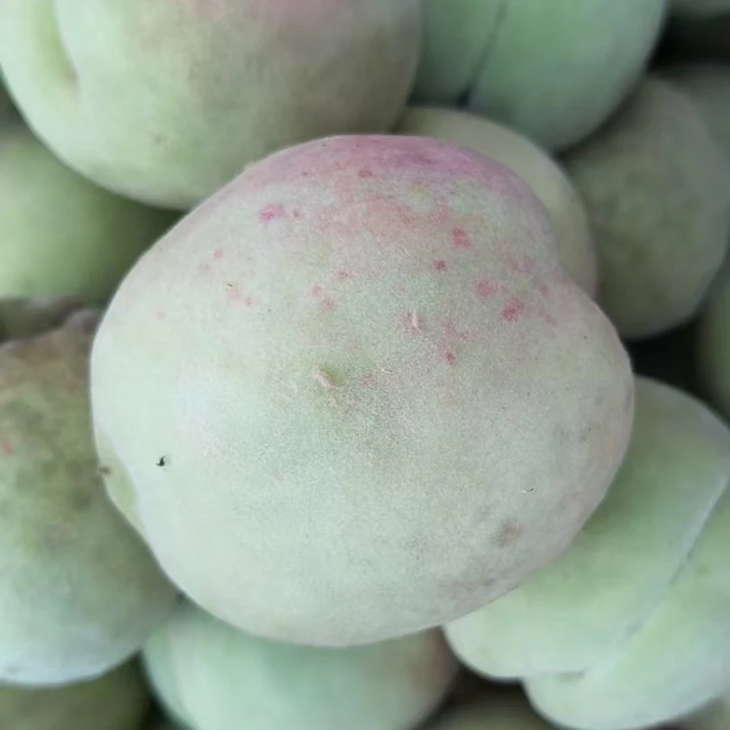 【顺丰包邮】新鲜当季桃子现摘先发水果脆甜多汁