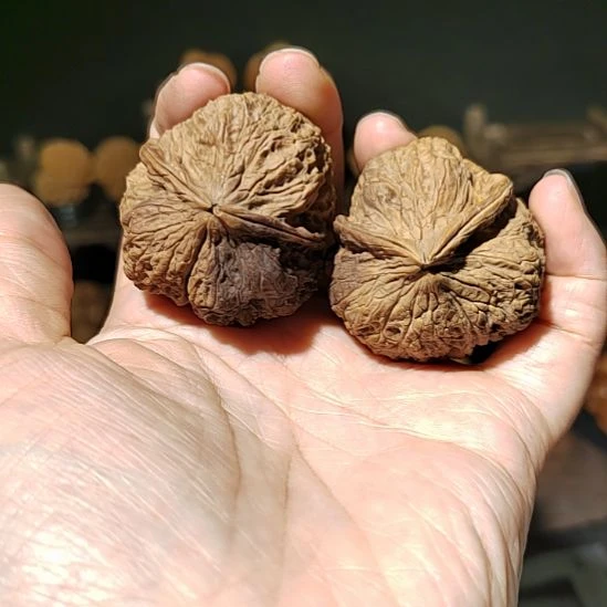把件文玩核桃福利异型带彩41尺