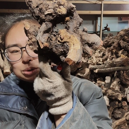 香榧木用****0火琉璃的毛料摆件