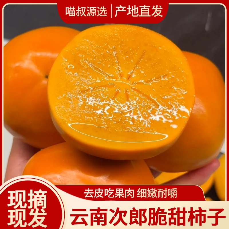 正宗云南冰糖心巧克力脆柿子新鲜水果新鲜采摘应季青黄甜脆柿子