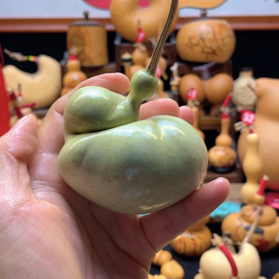 榴***肠大自然的秘密是什么呢