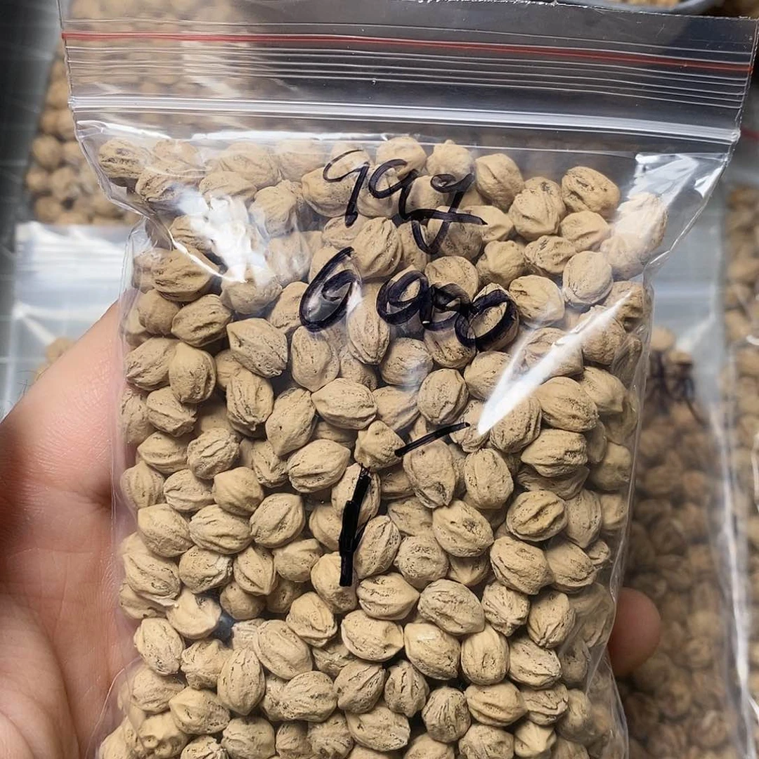 柏香籽/百香籽吊坠鲨**香